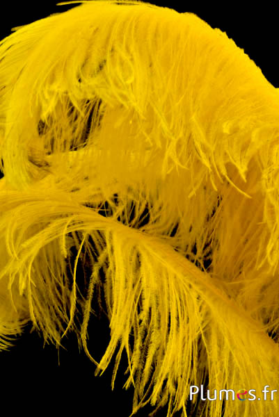 Autruche premium - 50-60 cm - jaune doré